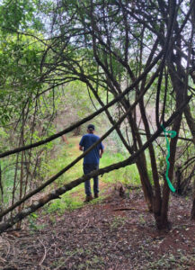 Zvakanaka Hiking Trails