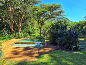 Madala's Pool